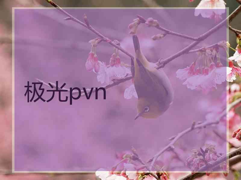 极光pvn