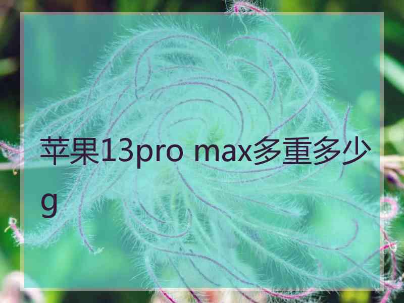 苹果13pro max多重多少g