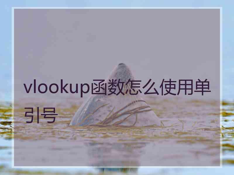 vlookup函数怎么使用单引号