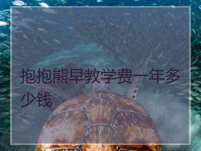 抱抱熊早教学费一年多少钱