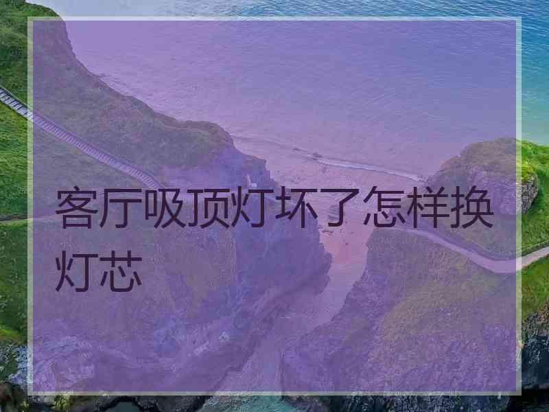 客厅吸顶灯坏了怎样换灯芯