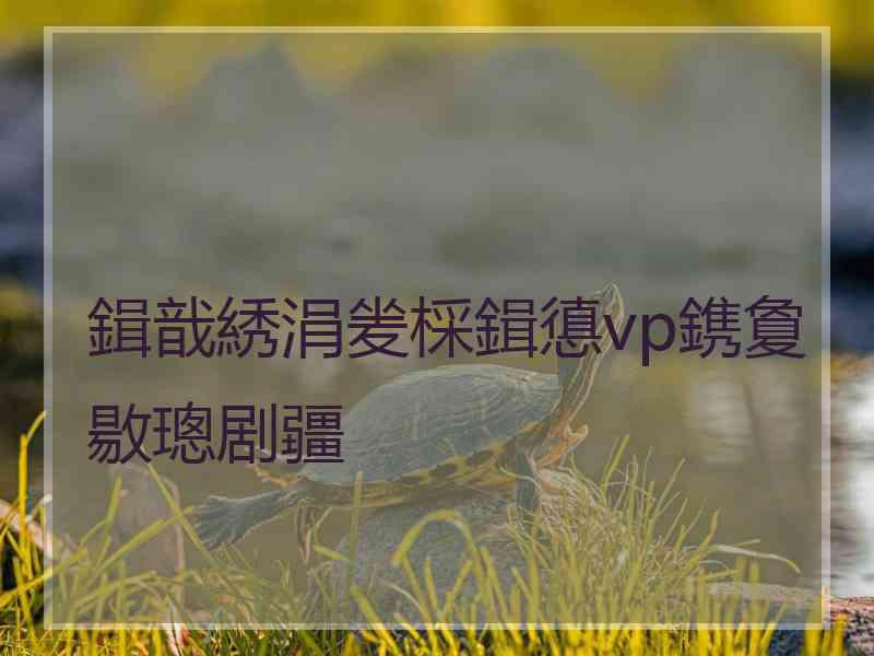 鍓戠綉涓夎棌鍓憄vp鎸夐敭璁剧疆