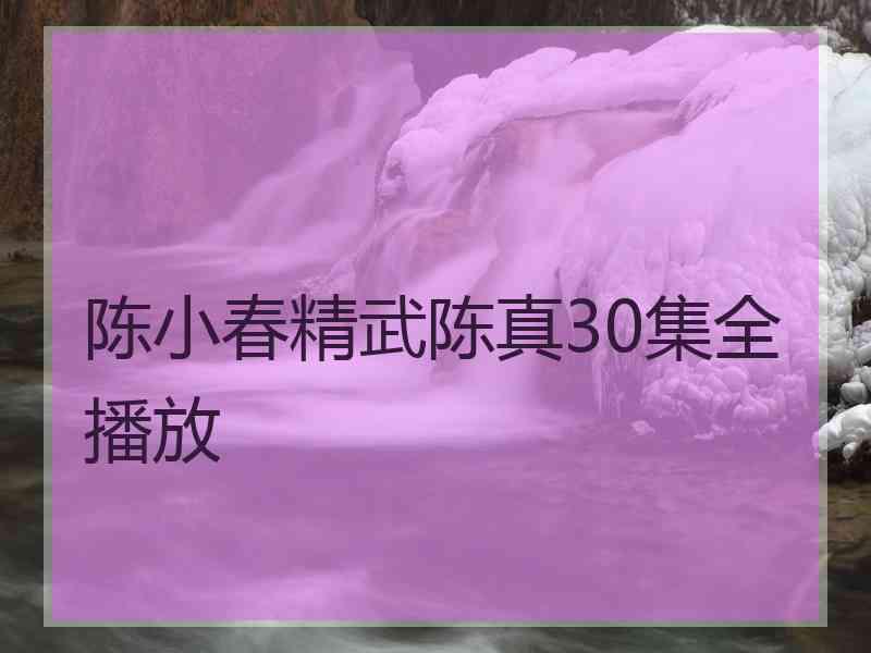 陈小春精武陈真30集全播放