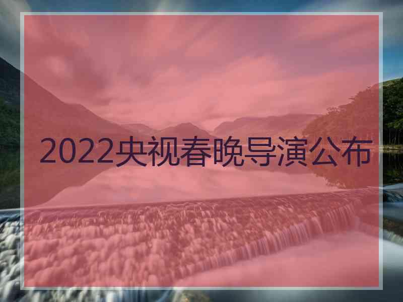 2022央视春晚导演公布