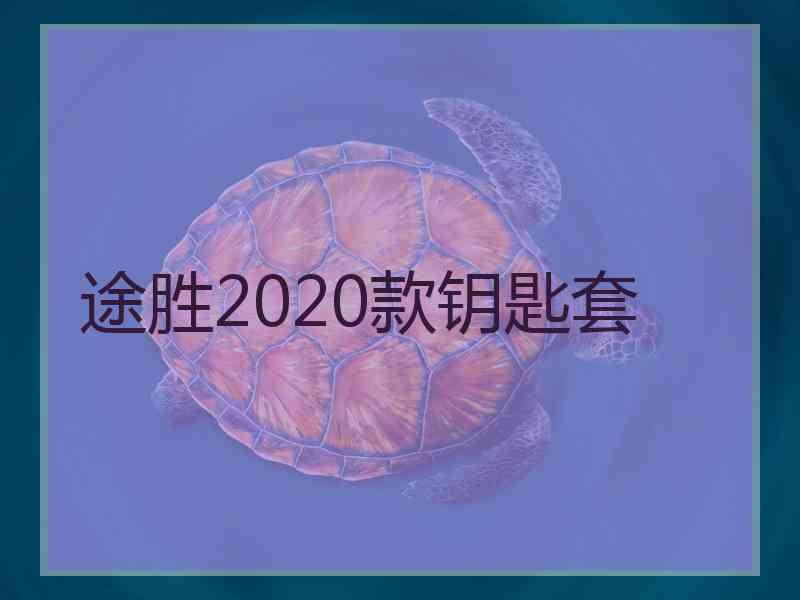 途胜2020款钥匙套