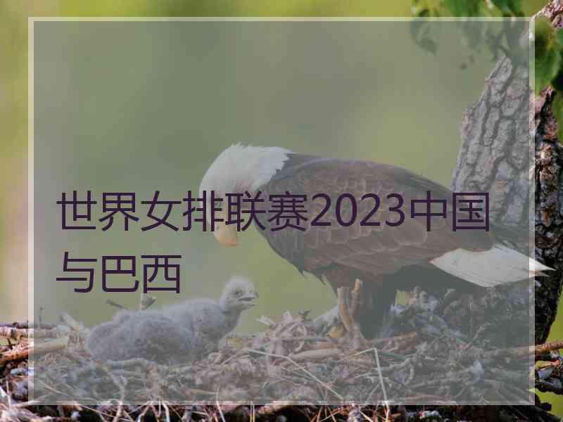 世界女排联赛2023中国与巴西