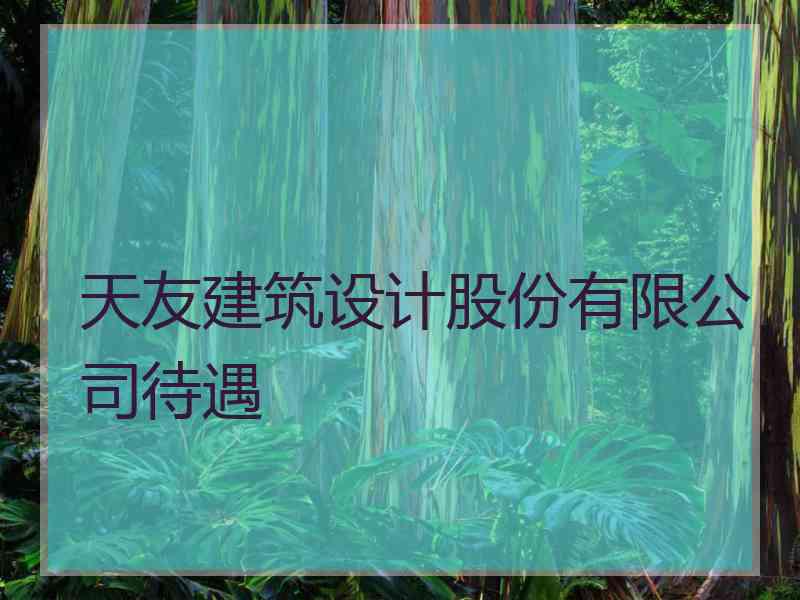 天友建筑设计股份有限公司待遇