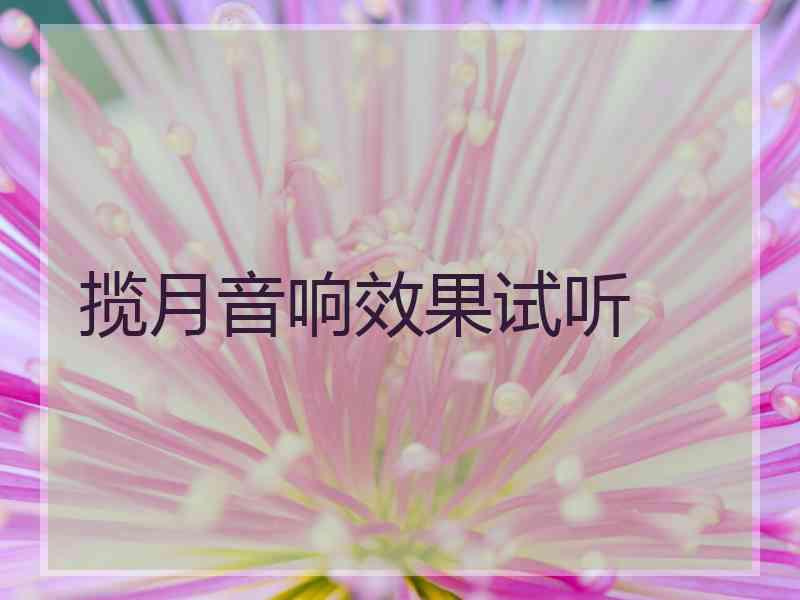 揽月音响效果试听