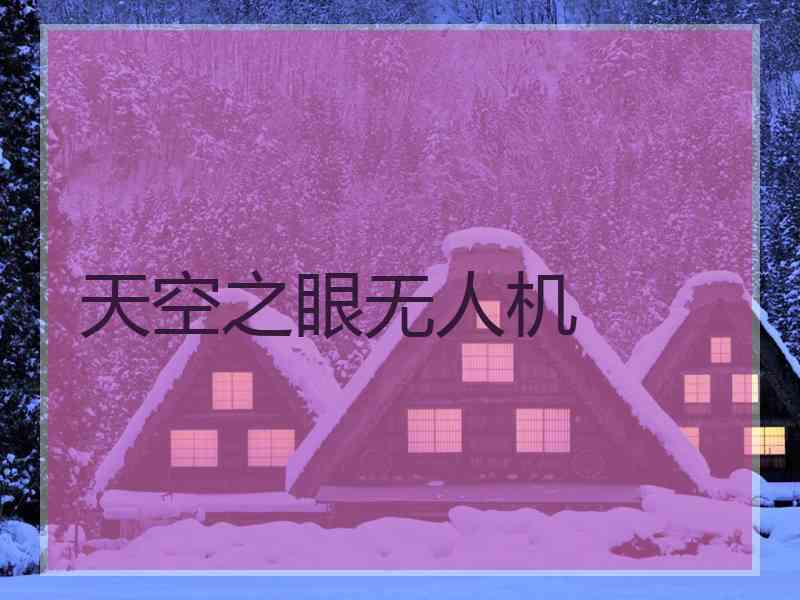 天空之眼无人机