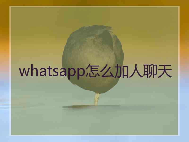 whatsapp怎么加人聊天