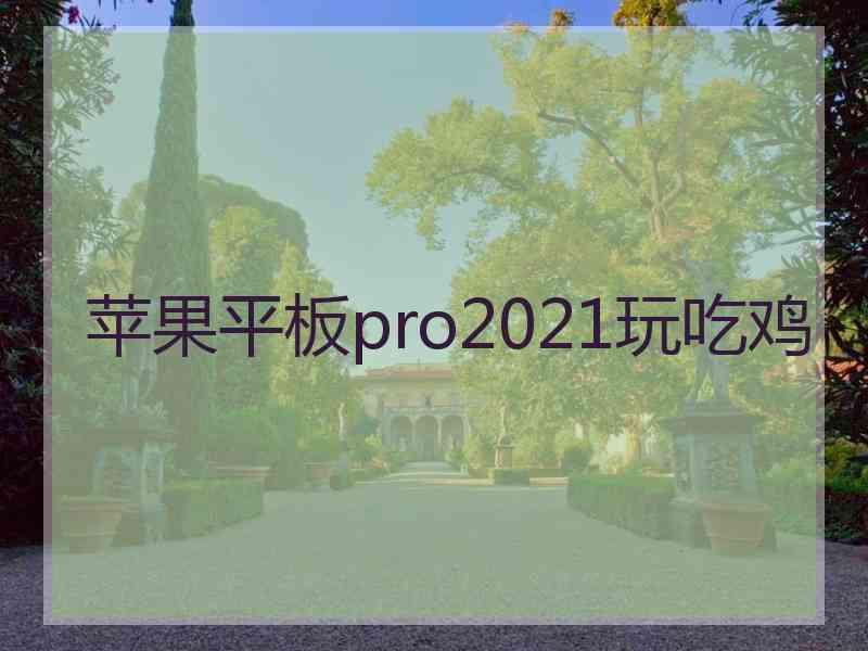 苹果平板pro2021玩吃鸡