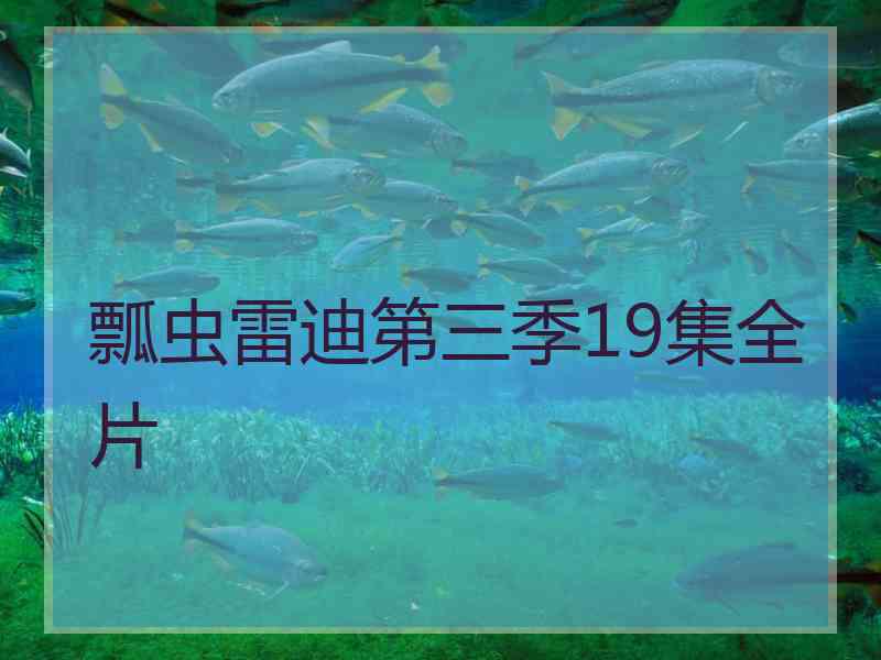 瓢虫雷迪第三季19集全片