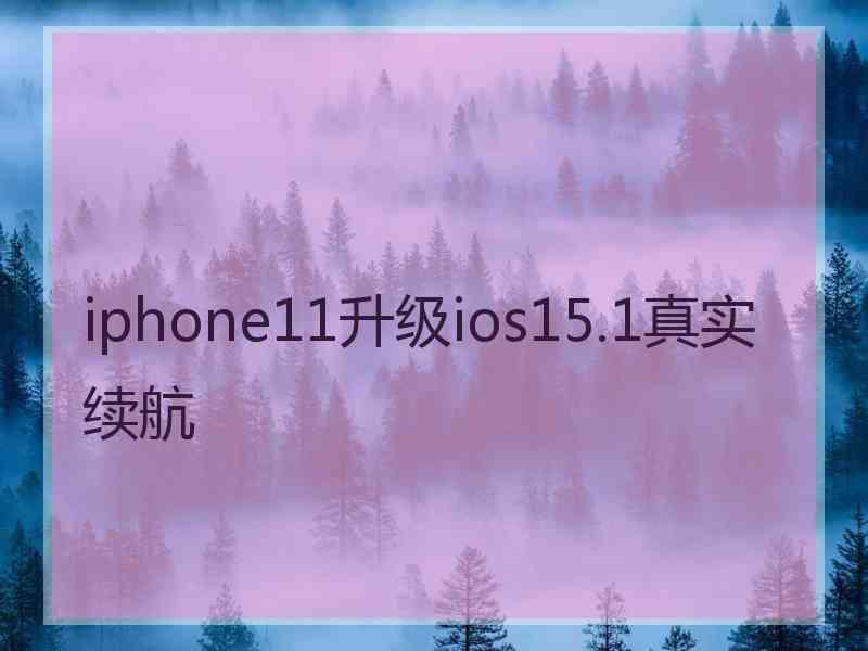 iphone11升级ios15.1真实续航