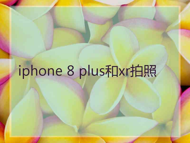 iphone 8 plus和xr拍照