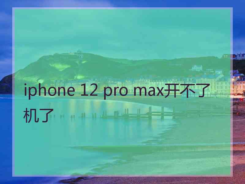 iphone 12 pro max开不了机了