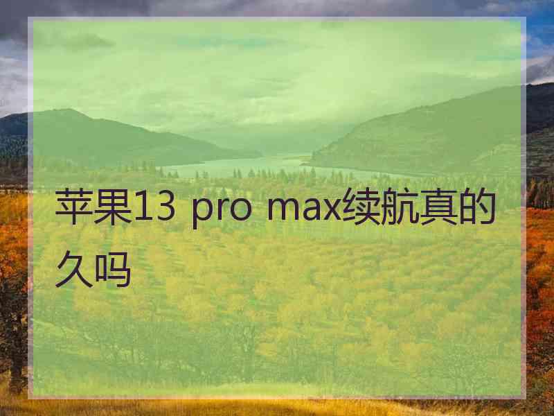 苹果13 pro max续航真的久吗