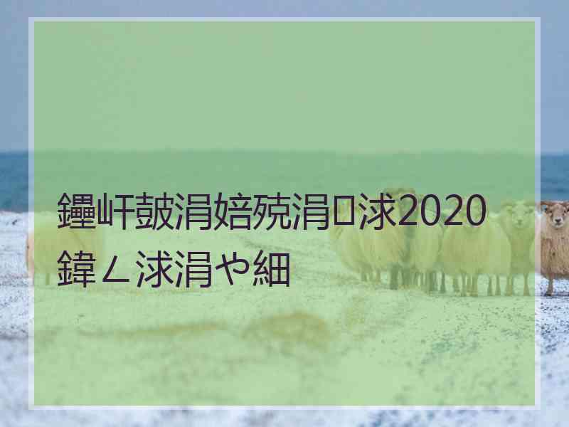 鑸屽皷涓婄殑涓浗2020鍏ㄥ浗涓や細