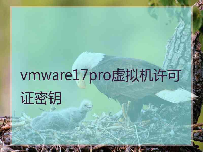 vmware17pro虚拟机许可证密钥