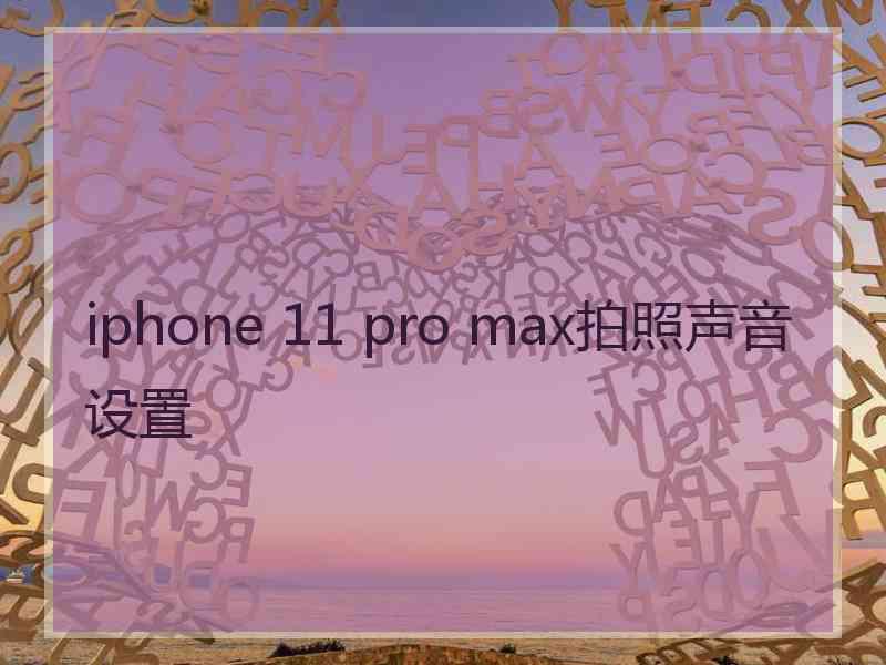 iphone 11 pro max拍照声音设置