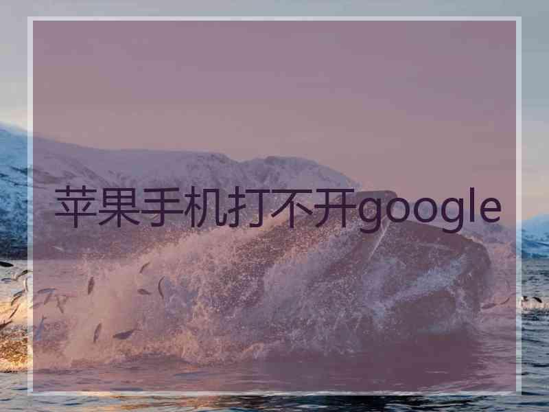 苹果手机打不开google