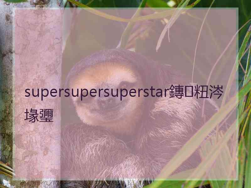 supersupersuperstar鏄粈涔堟瓕