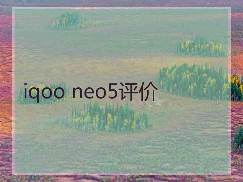 iqoo neo5评价