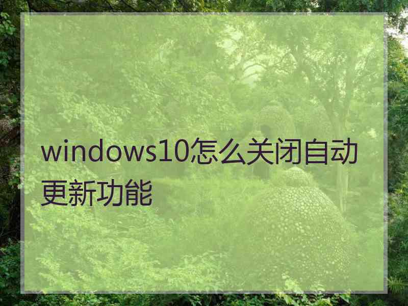 windows10怎么关闭自动更新功能