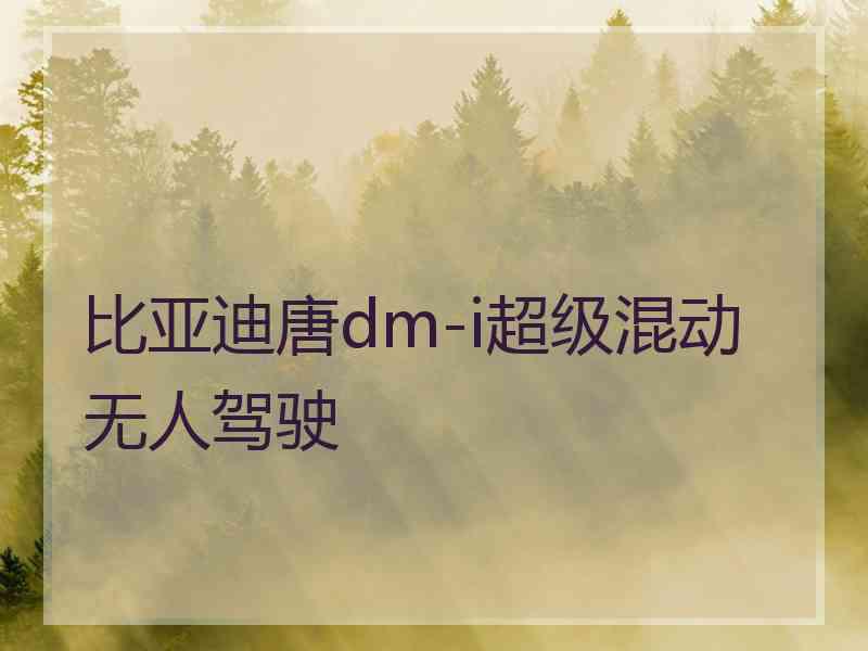 比亚迪唐dm-i超级混动无人驾驶