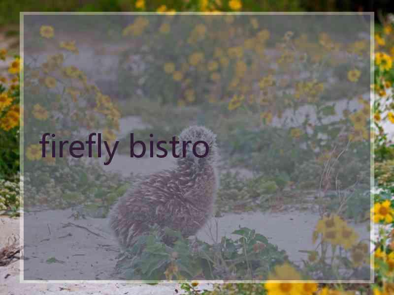 firefly bistro