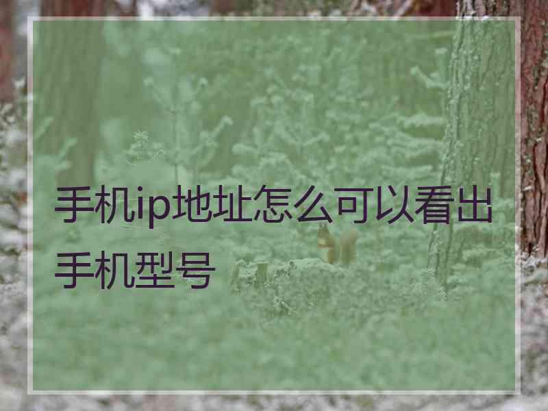 手机ip地址怎么可以看出手机型号