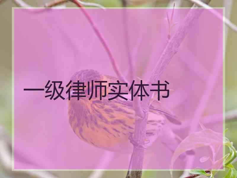 一级律师实体书