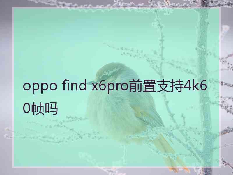 oppo find x6pro前置支持4k60帧吗