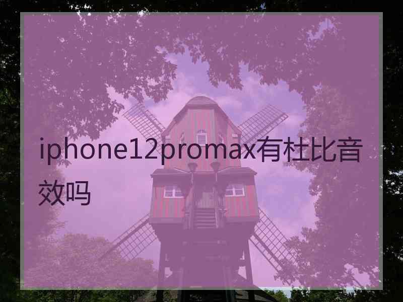 iphone12promax有杜比音效吗