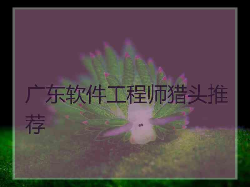 广东软件工程师猎头推荐