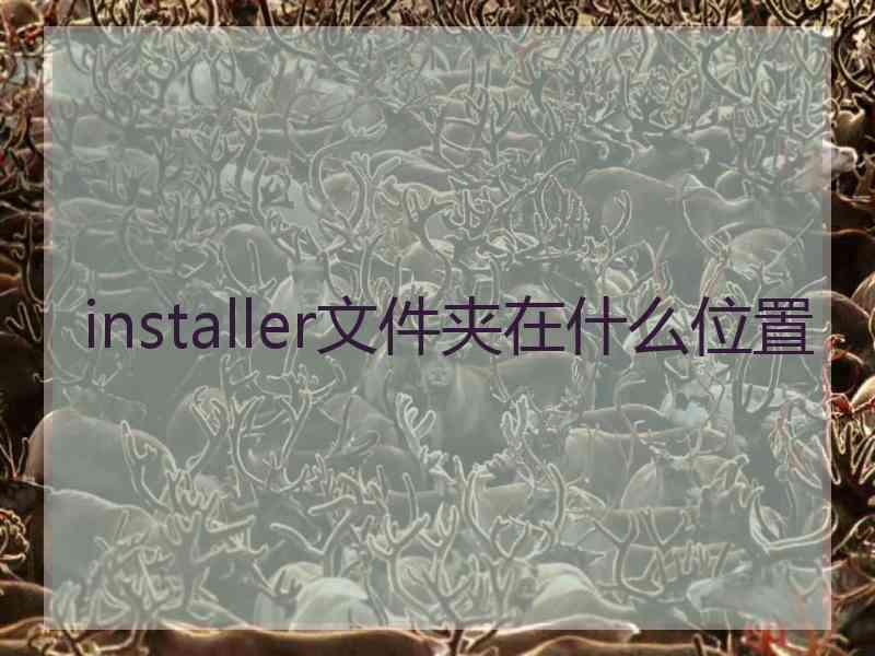 installer文件夹在什么位置