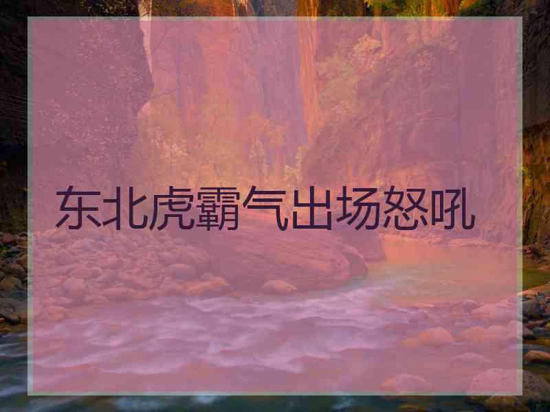 东北虎霸气出场怒吼