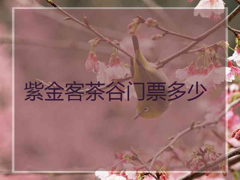 紫金客茶谷门票多少