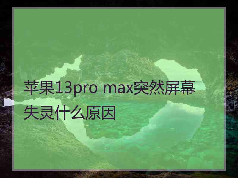 苹果13pro max突然屏幕失灵什么原因