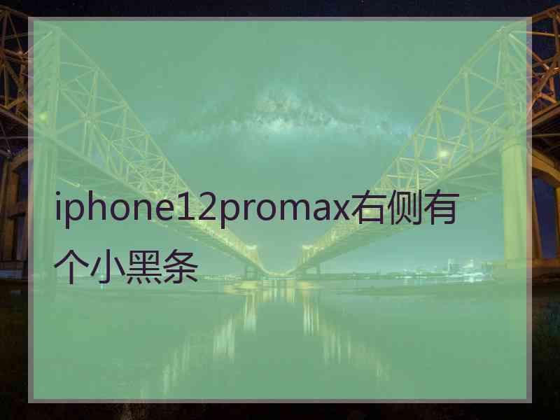 iphone12promax右侧有个小黑条