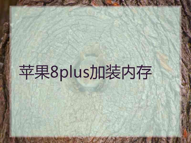 苹果8plus加装内存