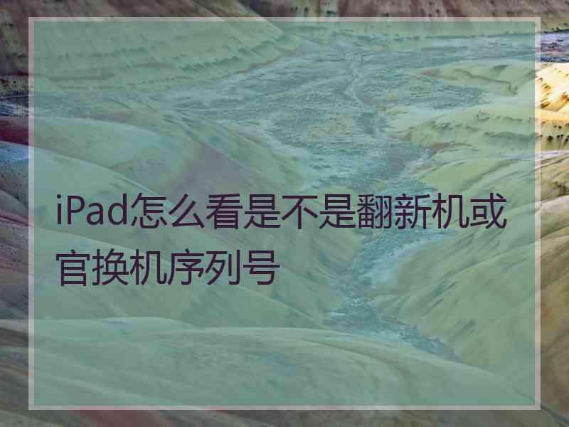 iPad怎么看是不是翻新机或官换机序列号