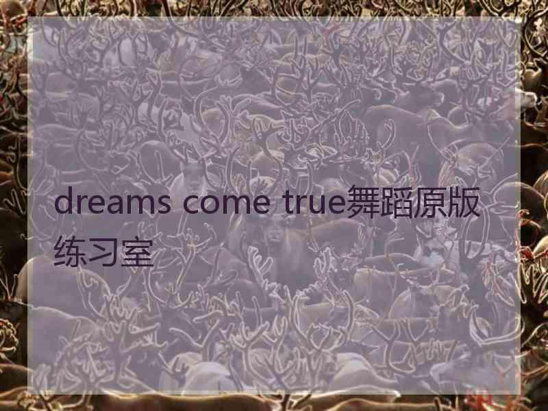 dreams come true舞蹈原版练习室