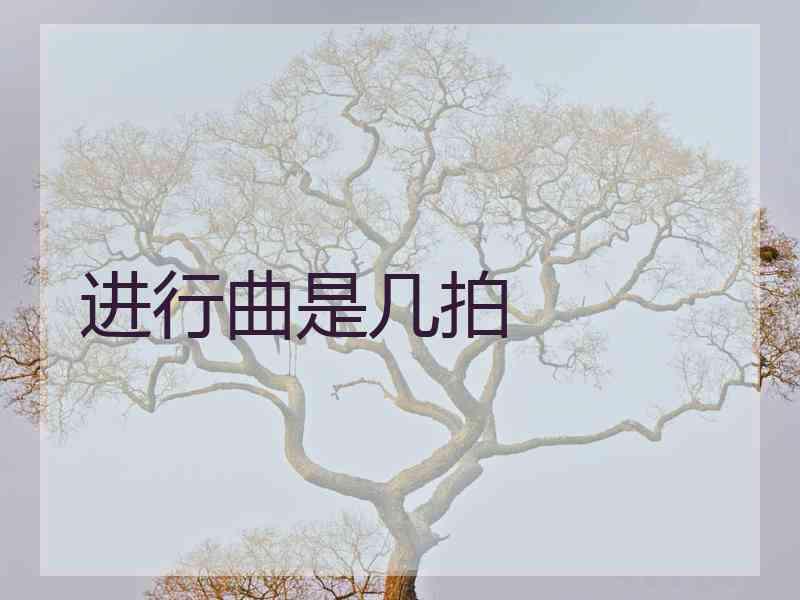 进行曲是几拍