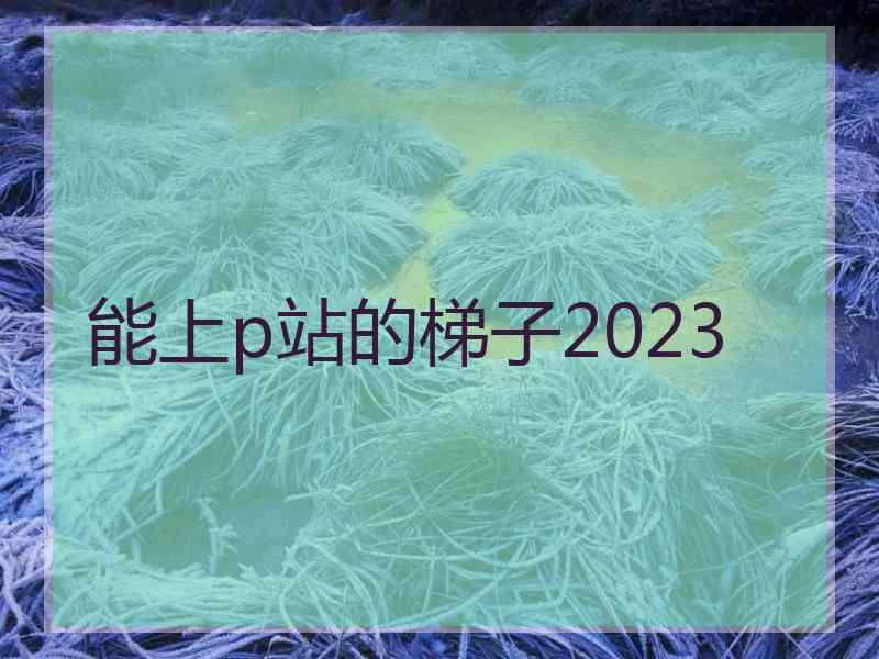 能上p站的梯子2023