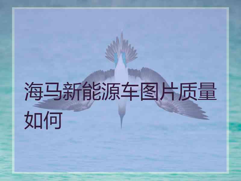 海马新能源车图片质量如何