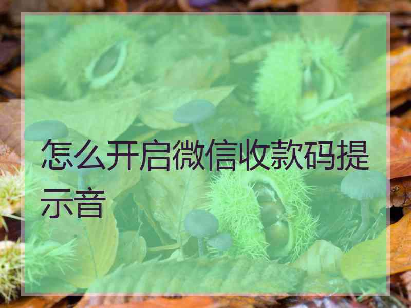 怎么开启微信收款码提示音