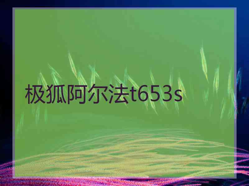 极狐阿尔法t653s