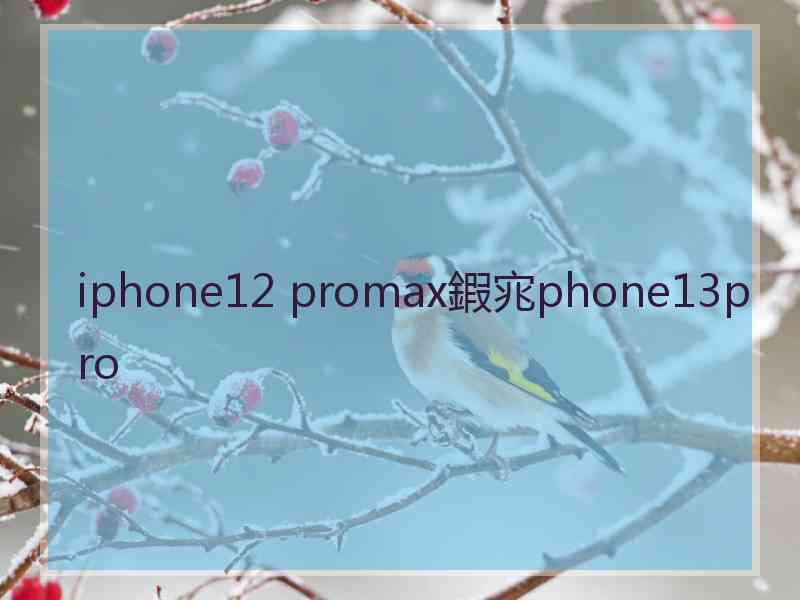 iphone12 promax鍜宨phone13pro