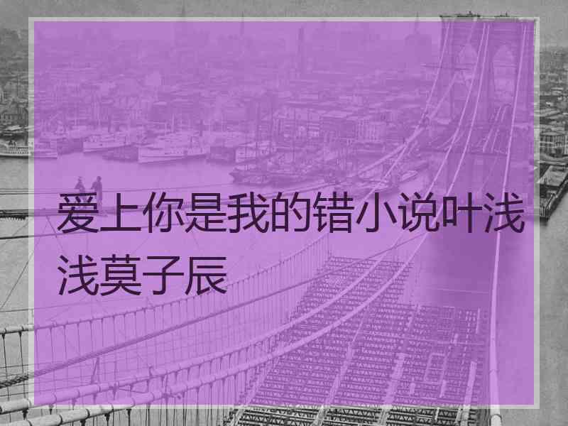 爱上你是我的错小说叶浅浅莫子辰