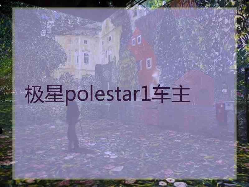 极星polestar1车主